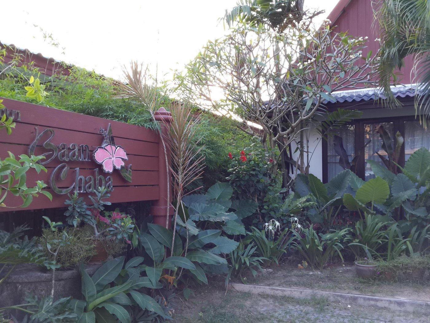 Baan Chaba sign and bungalow entrance among garden plants