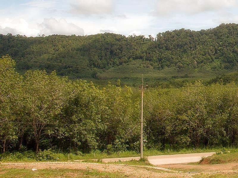 Wooded hillside view at Keereelay Lanta Resort