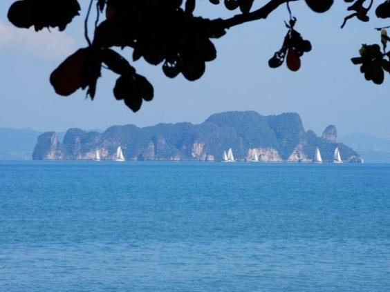 Limestone islands across the sea viewed beneath shoreline branches at Koyao Bay Pavilions